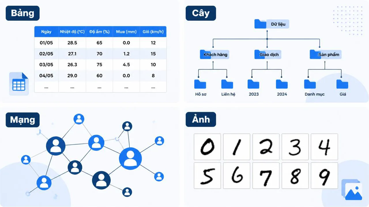 Bốn dạng cấu trúc data set: bảng, cây, mạng, ảnh