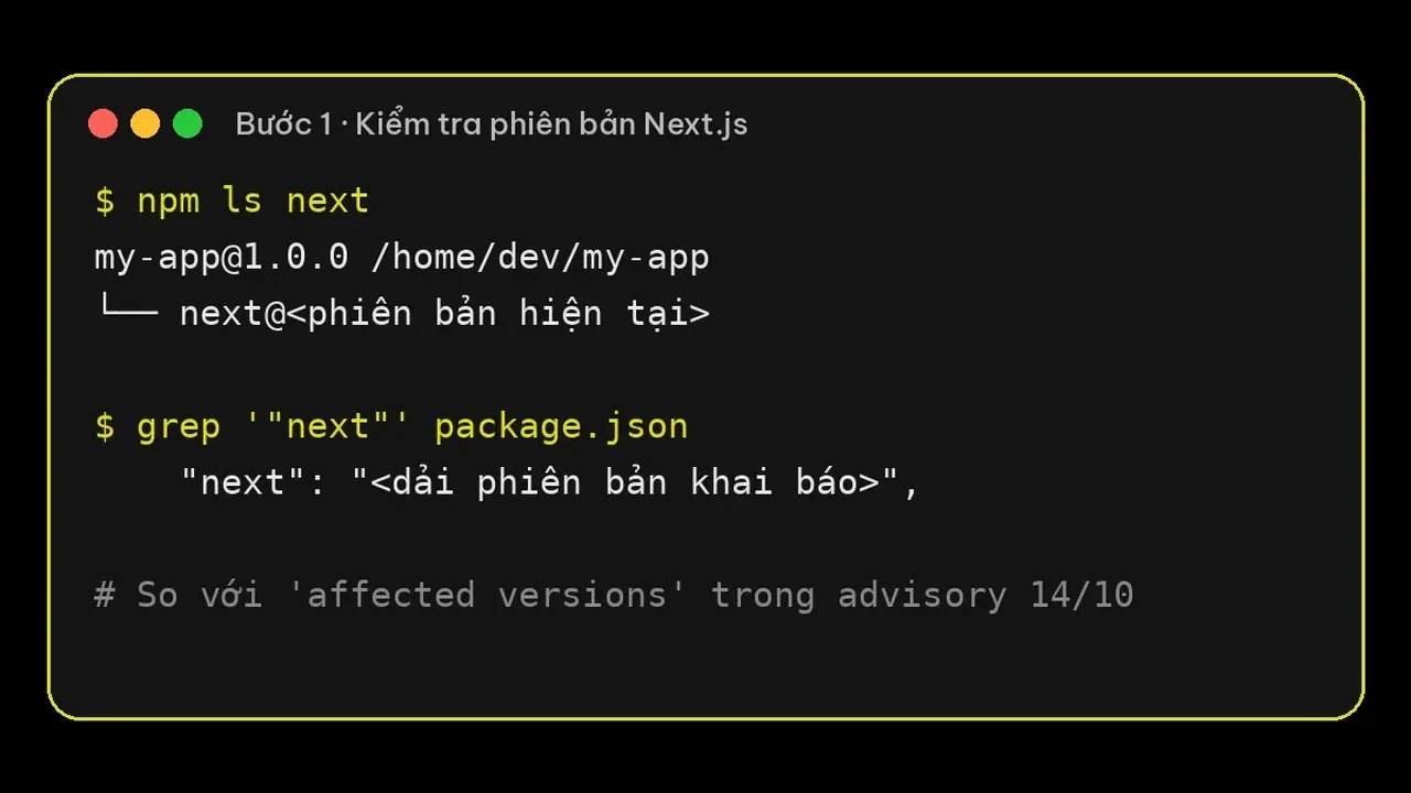 Terminal minh hoạ lệnh npm ls next và kiểm tra package.json để xem phiên bản Next.js